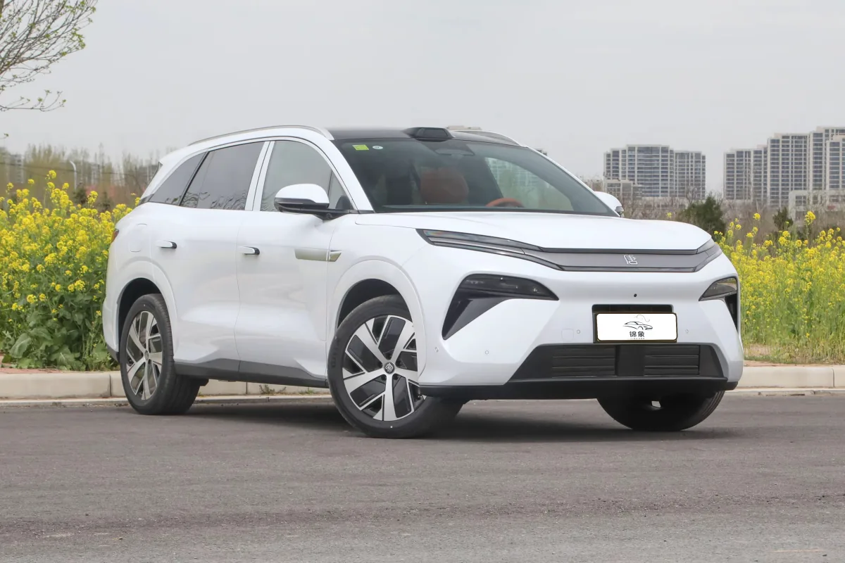 比亚迪 BYD 唐L DM (7座) 15