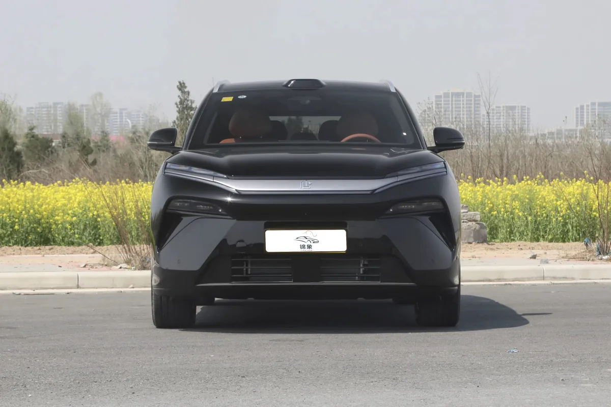 比亚迪 BYD 唐L DM (7座) 11